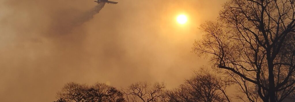 Amidst Record-breaking Fires, Will Brazil Confront Its Climate Challenges?