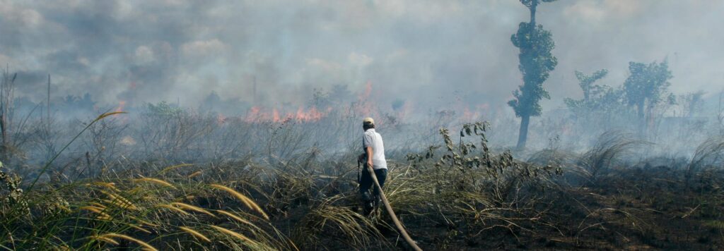 The Latest Data Confirms: Forest Fires Are Getting Worse