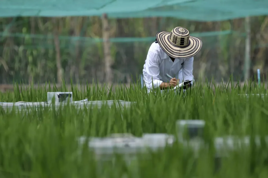 6 Ways the US Can Curb Climate Change and Grow More Food